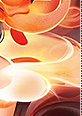 afterhoursspiritblossomspringsahri06