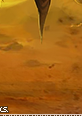 banditofiddlesticks08