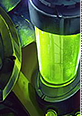 bioforgedarius06