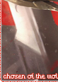 chosenofthewolfkindred07