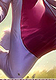 cottontailfizz08