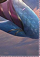 dragonmancerfiora09