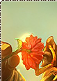 matadoralistar01