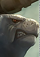 urfridercorki06